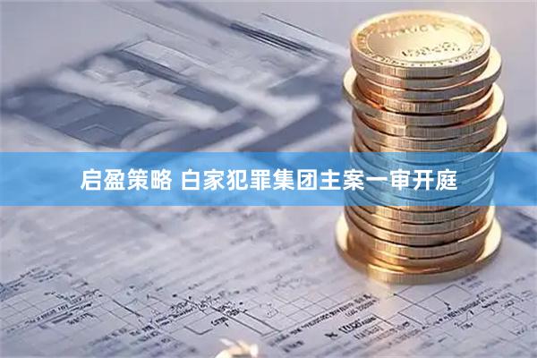 启盈策略 白家犯罪集团主案一审开庭