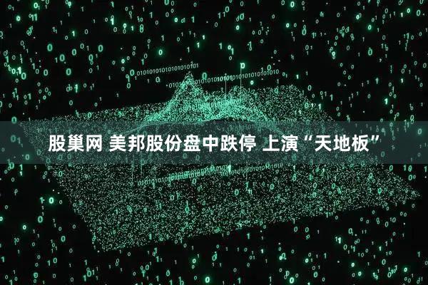 股巢网 美邦股份盘中跌停 上演“天地板”